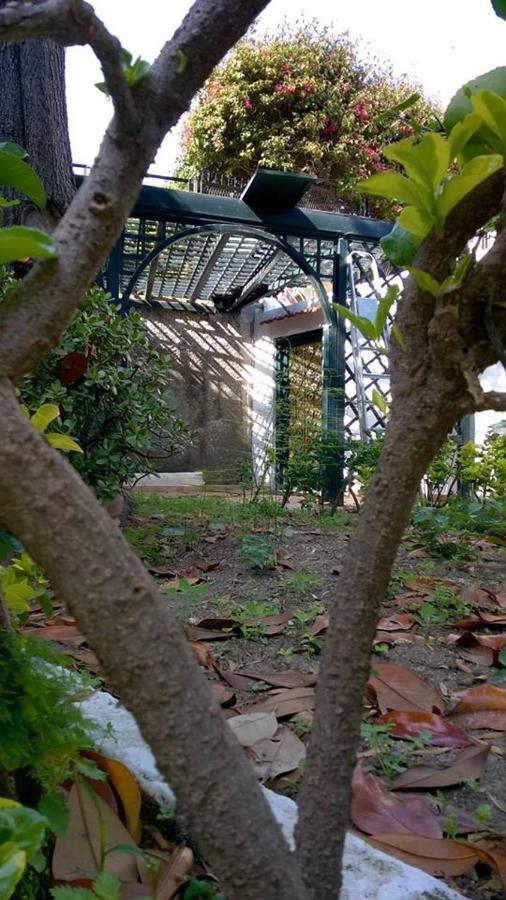 Villa Iscla Maison D'Hotes Ischia Ngoại thất bức ảnh