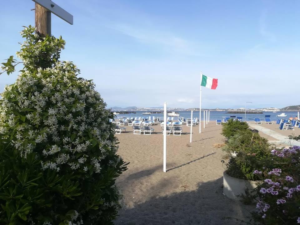 Villa Iscla Maison D'Hotes Ischia Ngoại thất bức ảnh